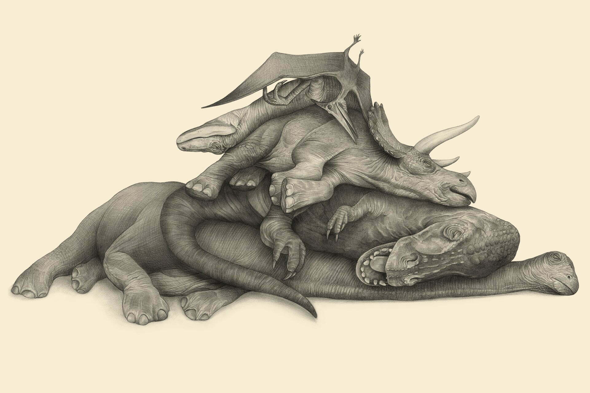 Dear Dr. Roach: The battle for weight reduction maintains 14