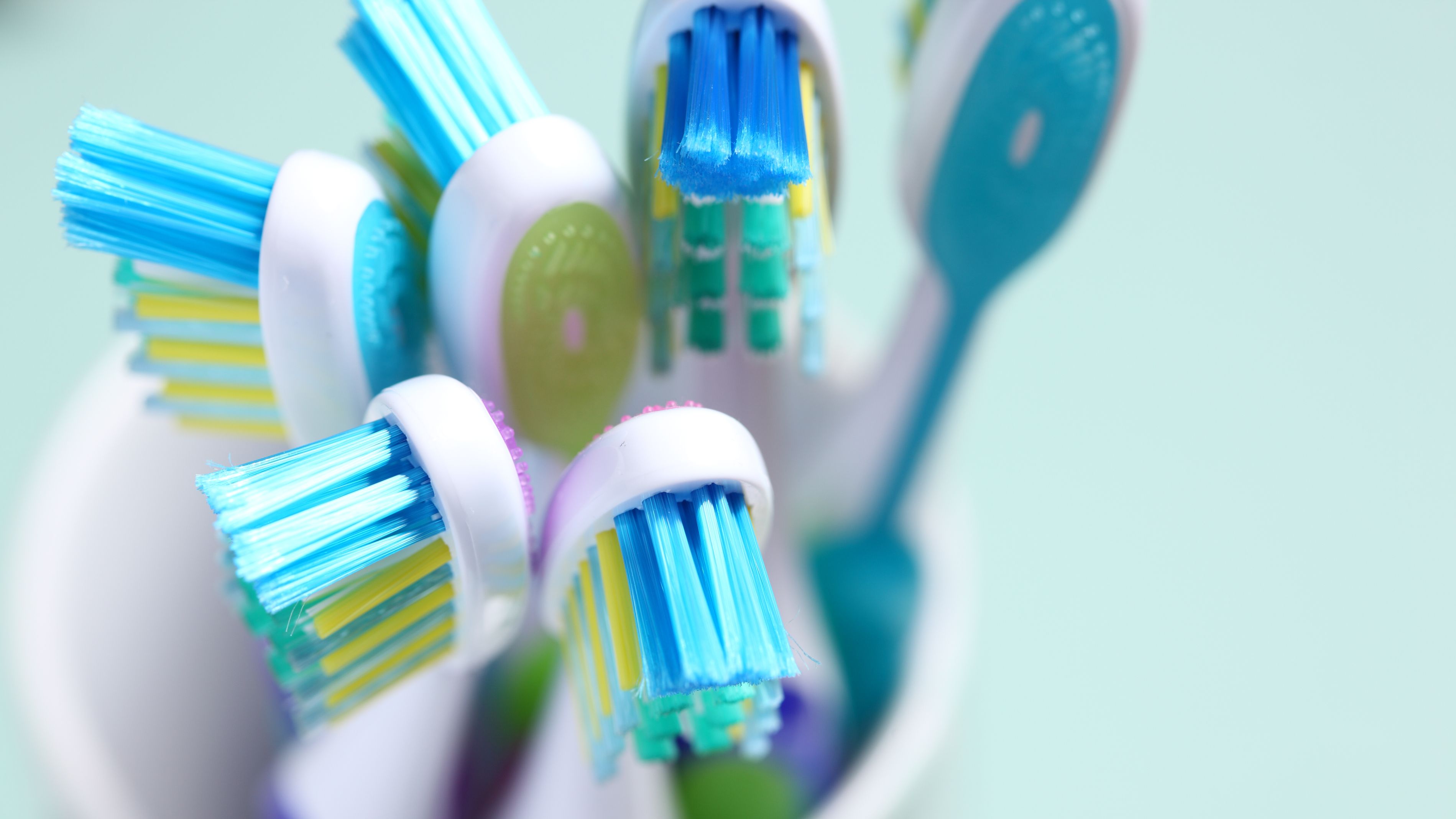 Why Sharing a Toothbrush Isn't That Gross 12