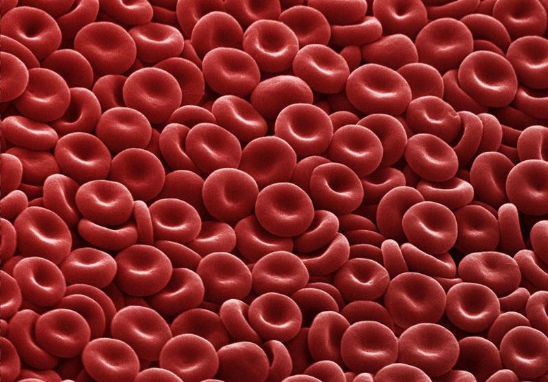 Compound Created to Block Therapeutic Target in Blood Cancer 17