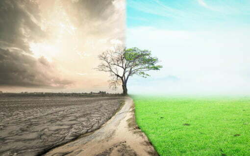 What is the link among sleep apnea and depression? 4