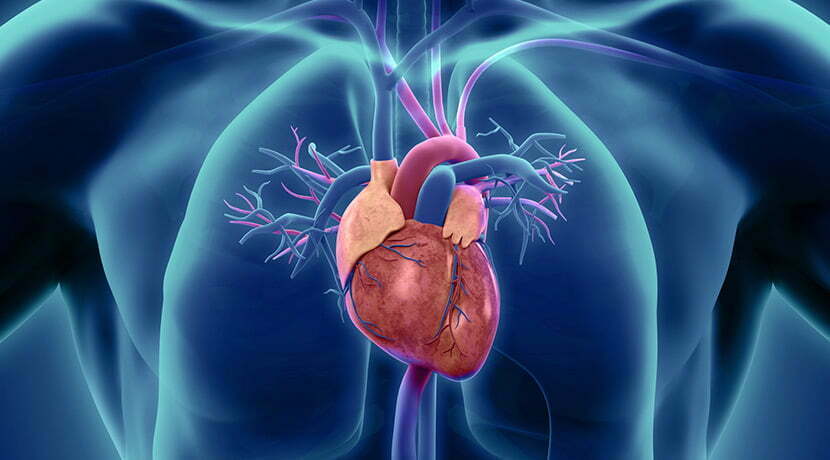 Study: Fermented Dairy Products May Help Prevent Heart Disease 15