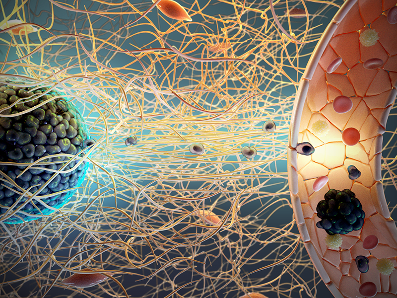 New Cholesterol Drugs' Cost Put Patients at Risk 19