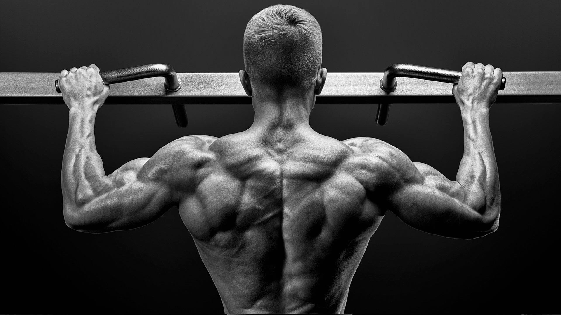 How Much Protein Do You Need to Build Muscle? 5