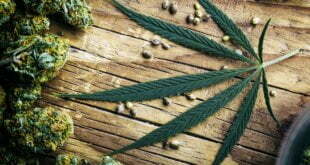 A Guide to Recreational Marijuana and How to use it 2