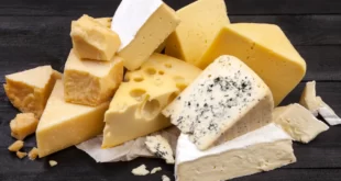 Low Cholesterol Cheese Recipes 60