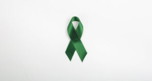 The Meaning of the Green Ribbon: Support for Mental Health 4